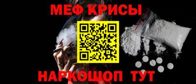 СК Бердск