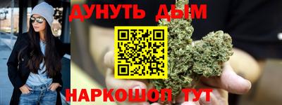СК Бердск