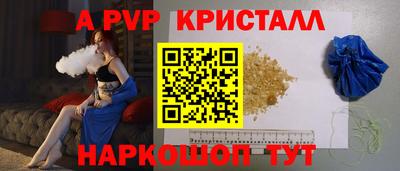 СК Бердск