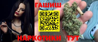 СК Бердск