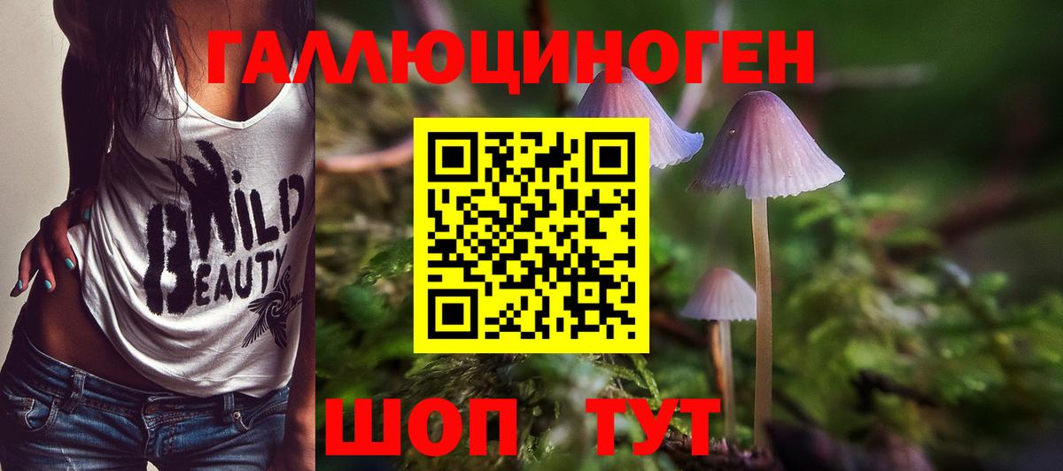 Галлюциногенные грибы ЛСД  Вход с VPN  Ростов-на-Дону  Галлюциногенные грибы Psilocybe 