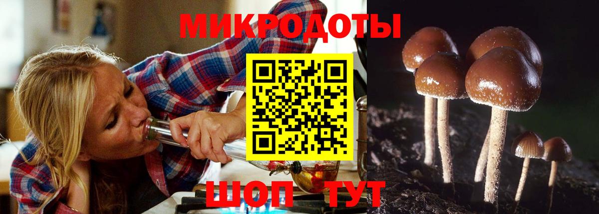 Псилоцибиновые грибы GOLDEN TEACHER Ростов-на-Дону